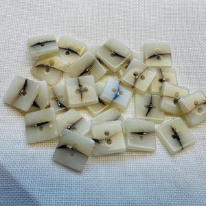 May include: A collection of square, off-white buttons featuring a smooth, glossy finish and a distinct dark brown or black linear vein pattern running across the surface. Each button contains two small holes for attachment to fabric or garments.
