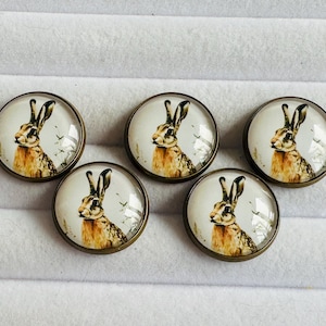 May include: Five circular cabochons with an antique brass finish, each displaying a detailed illustration of a hare. The hare has brown and tan fur, set against a white background with bird silhouettes.