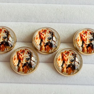 May include: Five round, gold-toned buttons with a clear, domed surface. Each button features a detailed portrait of an Irish Setter dog with reddish-brown fur. The buttons are arranged on a white, textured surface.