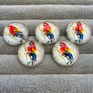 feathers - birds - bird feathers Buttons large 2.2'' (5-pack)