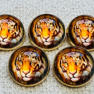 May include: Five circular buttons with a gold edge showcasing a detailed tiger face. The tiger's face is mainly orange and brown, with black stripes and an intense stare. The buttons are arranged on a textured, light-coloured surface.