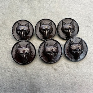 Bottoni volpe marrone finitura lucida 20 mm set da 6
