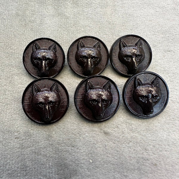 Fox buttons brown glossy finish 20mm a set of 6