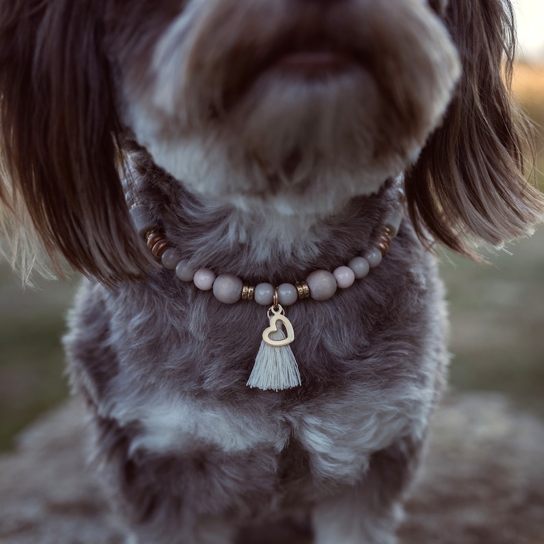 EM Keramik Halsband für Hunde personalisierbar Bild 3