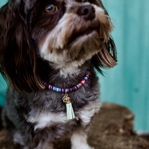 Ethnic dog chain image 2