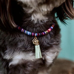 Ethnic dog chain image 2