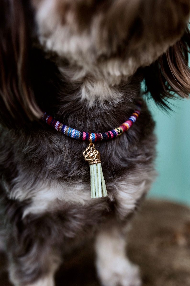 Ethnic dog chain image 2