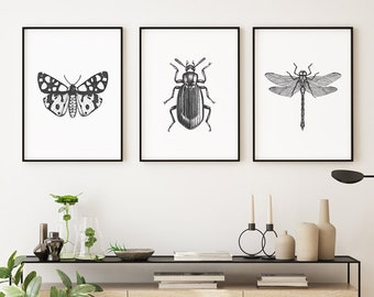 Black And White Insect Illustrations set of 3 Contemporary Unframed Prints modern, art for home, contemporary prints,