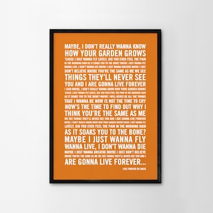May include: An orange background with white text, the lyrics to the Oasis song "Live Forever". The lyrics are printed in a bold, sans-serif font. The text is framed in a black frame.