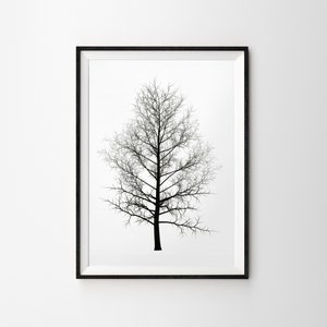 Black and White Winter Tree Silhouette Unframed Print Art Home Wall Decor Monochrome Contemporary Modern Photography Nature