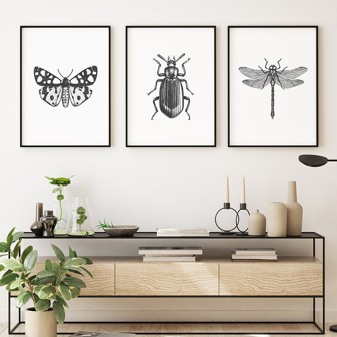 Black And White Insect Illustrations ...