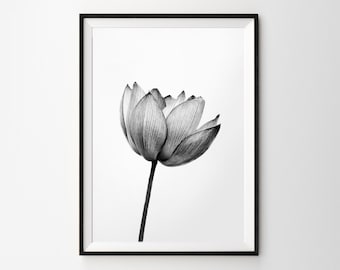 Digital File Black and White Flower Unframed Art Home Wall Decor Monochrome Contemporary Modern Photography Nature