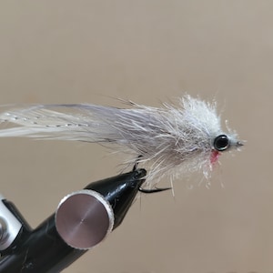 May include: A white and gray fly fishing lure with a black eye and a red accent. The lure is tied on a hook and is mounted in a vise.
