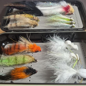 May include: An open black tackle box filled with various fishing flies. The flies feature a range of colors, including black, brown, orange, green, and white, with feather and synthetic materials. Some flies have silver hooks.