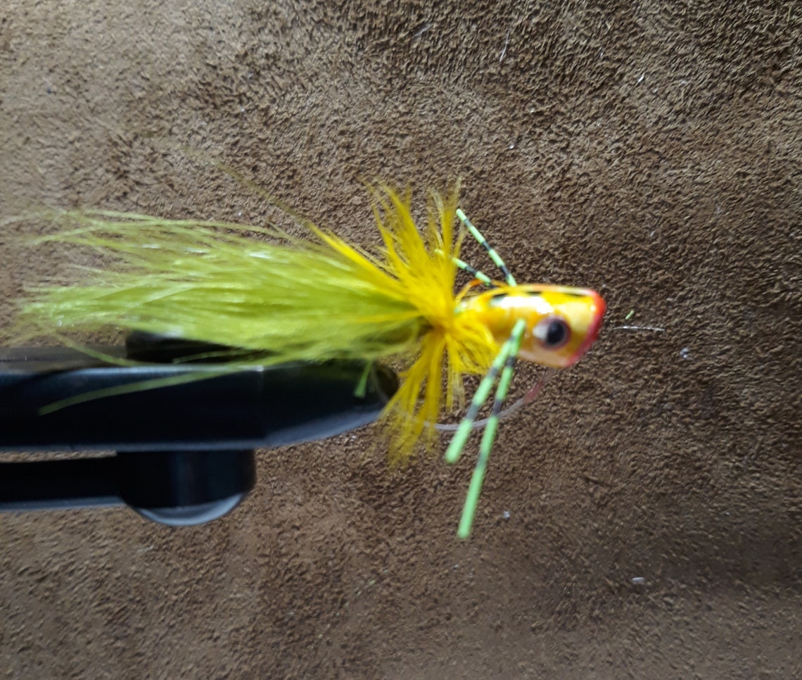 4 Pack Bass Poppers | Etsy