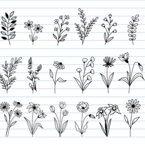 Flower Svg, Wildflower Svg, Flower And Leaf Botanital Element Svg, Floral Svg, Flower Cut Files, Flower Svg Files For Cricut, Svg, Png, Dxf.
