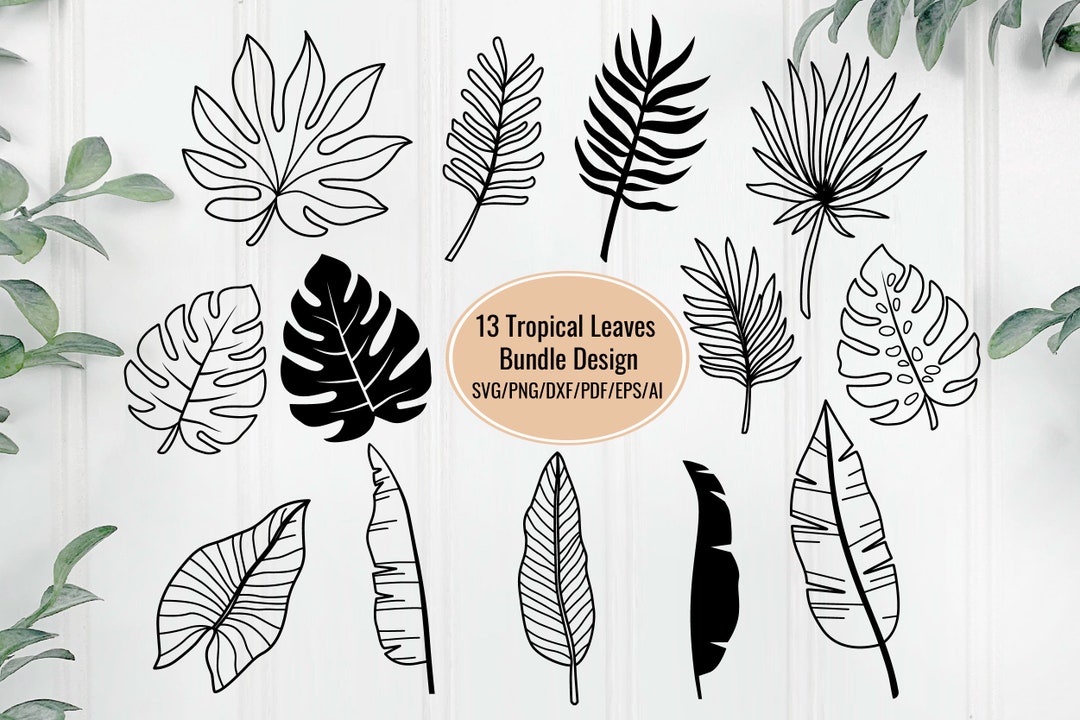 Jungle Leaves Tropical Svg Bundle, Leaf Svg, Leaves Svg, Palm Leaf Svg ...