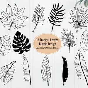 Jungle Leaves Tropical Svg Bundle, Leaf Svg, Leaves Svg, Palm Leaf Svg, Monstera Leaves Svg, Tropical Leaves Clipart, Jungle Leaves Clipart.