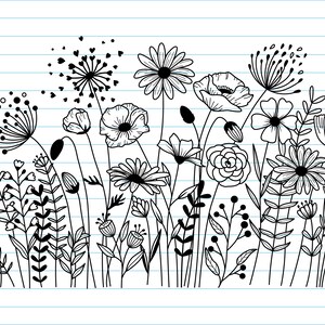 K&ouml;nnte beinhalten: Schwarz-wei&szlig;-Zeichnung einer Vielzahl von Blumen und Pflanzen auf wei&szlig;em Hintergrund mit blauen Linien. Die Blumen umfassen G&auml;nsebl&uuml;mchen, Mohnblumen und andere Wildblumen.