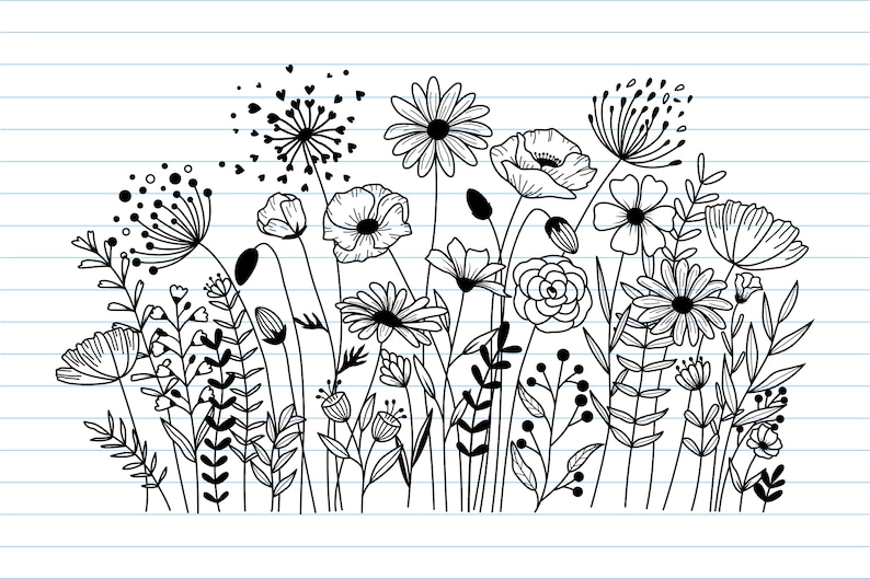 K&ouml;nnte beinhalten: Schwarz-wei&szlig;-Zeichnung einer Vielzahl von Blumen und Pflanzen auf wei&szlig;em Hintergrund mit blauen Linien. Die Blumen umfassen G&auml;nsebl&uuml;mchen, Mohnblumen und andere Wildblumen.
