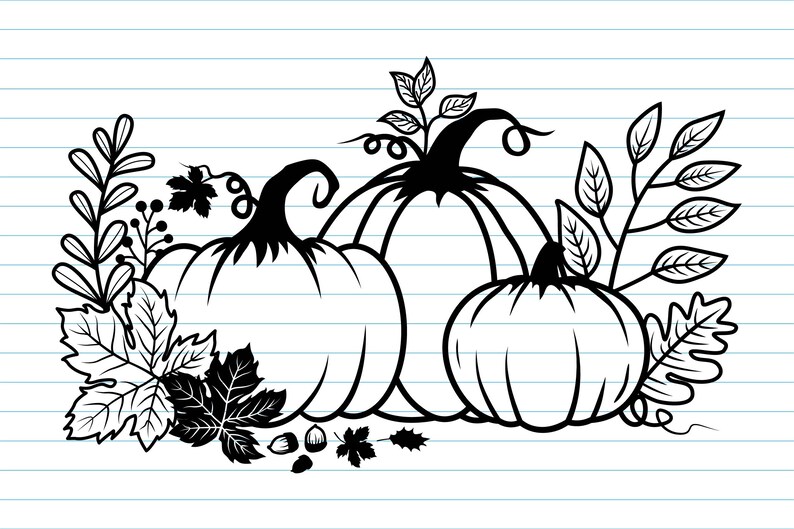 May include: Black and white line art illustration of three pumpkins with leaves and vines. The pumpkins are arranged in a row, with the largest pumpkin in the center.