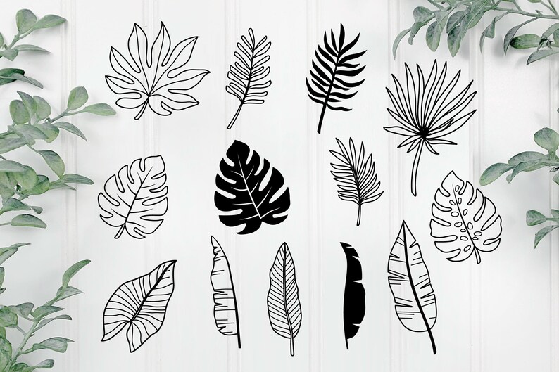 Jungle Leaves Tropical Svg Bundle, Leaf Svg, Leaves Svg, Palm Leaf Svg ...