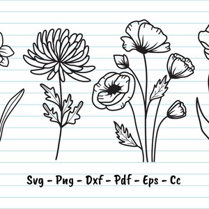 May include: A set of five black and white line drawings of different flowers. The flowers include a daffodil, a chrysanthemum, a poppy, a poppy bud, and a daisy.