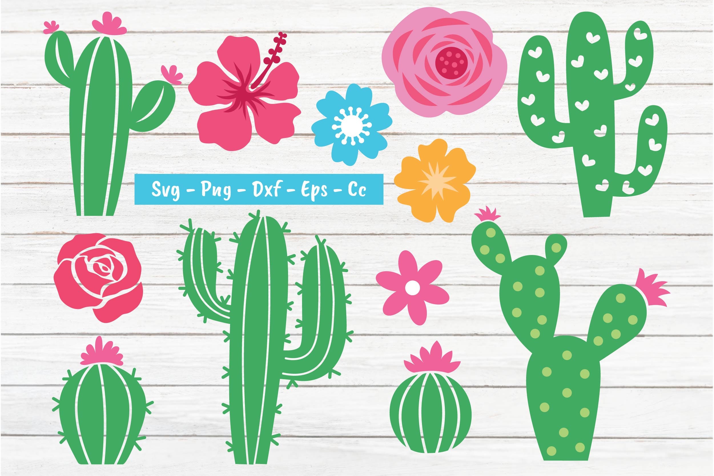 Cactus Svg Flower Svg Cactus Svg Bundle Succulent Svg Etsy Canada