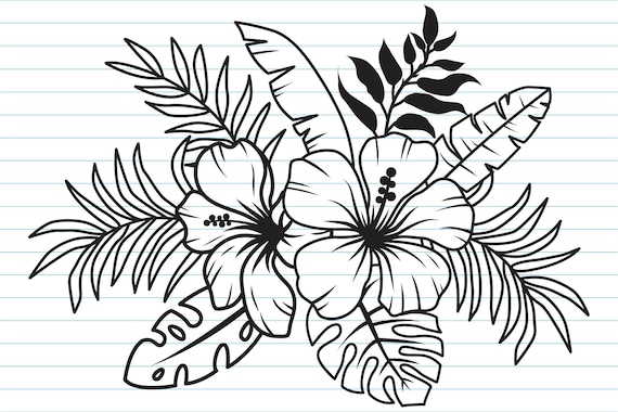dessins-de-fleurs-tropicales-20-id-es-de-fleurs-des-les-fleurs