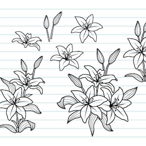 Flor de lírio Svg, buquê de flores Svg, flor Svg, pacote de flores svg, modelo de papel Ct, arquivos florais Svg para Cricut, impressão digital, Svg, Dxf.