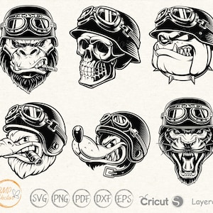 Affe Biker svg, Biker Tiere svg Vektor, Affe Motorrad Biker Vektor svg png, Wolf Biker svg, Tiger Biker, Biker Aufkleber Aufkleber, Cricut