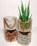 Geode crystal planter, succulent planter, miniature planter, cactus planter, airplant holder, chakra stone home decor, concrete planter 