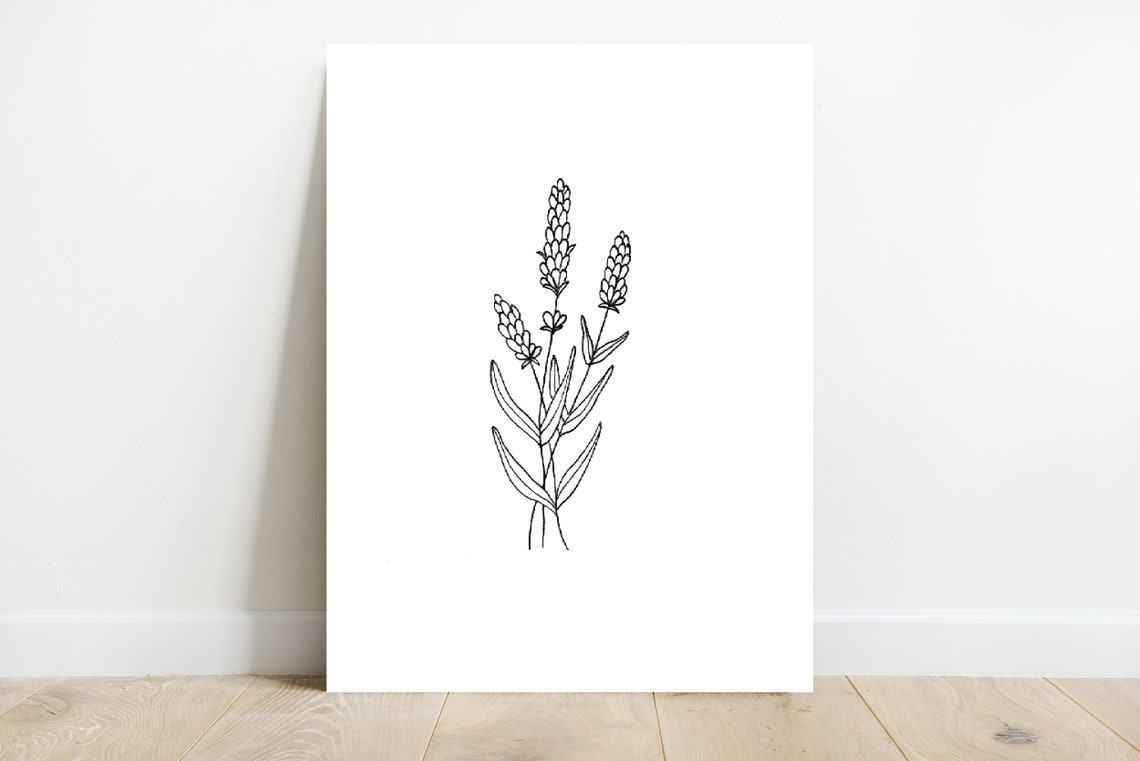 Wildflowers and Lavender Print Set Botanical Herb - Etsy