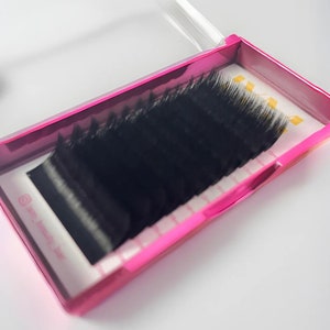Classic D Curl .20 Lash Tray