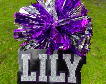 ONE POM Cheer Stick, Acrylic Spirit Stick, Optional Add Cowbell, 3 Color, Game Day Sign, Sport Mom Sign, Cheer Mom Sign, Custom Name Sign