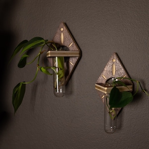 Set of 2 Diamond Propagation Holders image 1