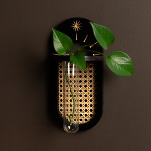 Rattan Cane Wall Propagation Holder Black and Gold image 1