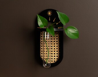 Rattan Cane Wall Propagation Holder - Black and Gold