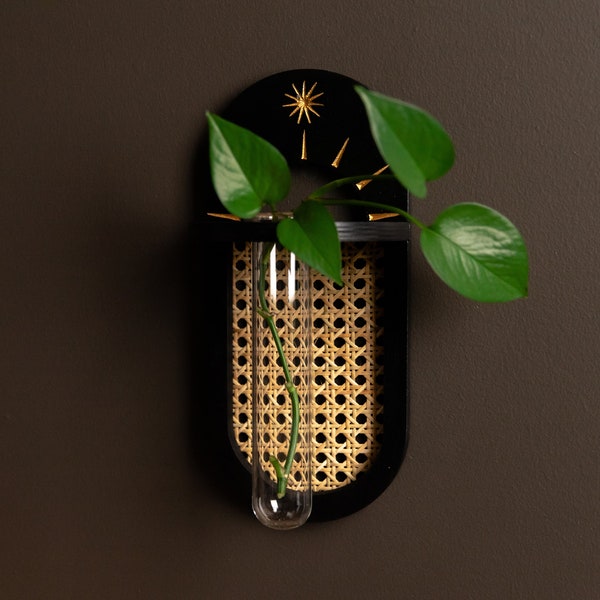 Rattan Cane Wall Propagation Holder - Black and Gold