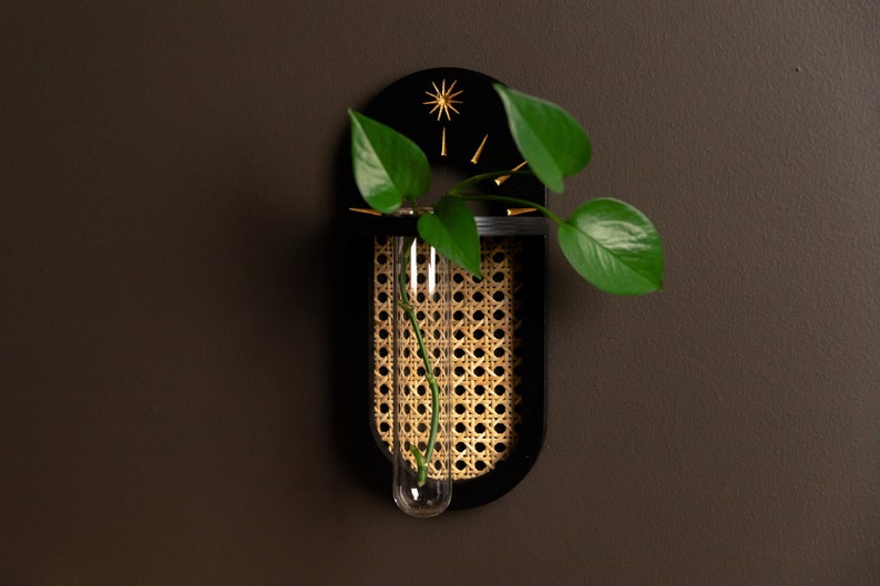 Rattan Cane Wall Propagation Holder Black and Gold image 1