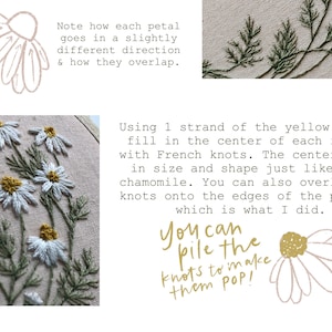 Embroidery Pattern: Roman Chamomile, PDF pattern, beginner embroidery, diy embroidery art, botanical embroidery, floral hand embroidery. image 2