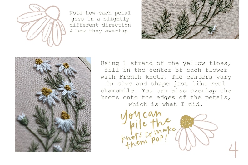 Embroidery Pattern: Roman Chamomile, PDF pattern, beginner embroidery, diy embroidery art, botanical embroidery, floral hand embroidery. image 2