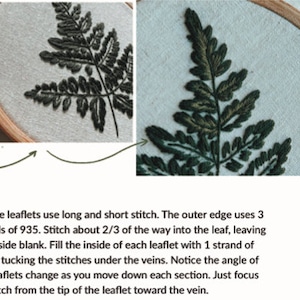 Embroidery Pattern: Forest Fern, PDF pattern, beginner embroidery, diy embroidery art, botanical art image 3