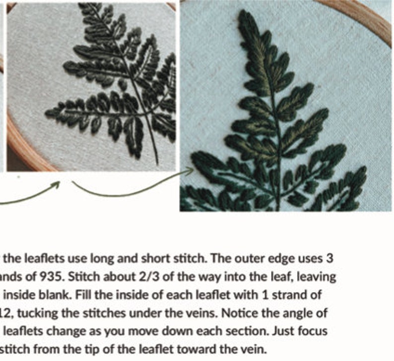 Embroidery Pattern: Forest Fern, PDF pattern, beginner embroidery, diy embroidery art, botanical art image 3