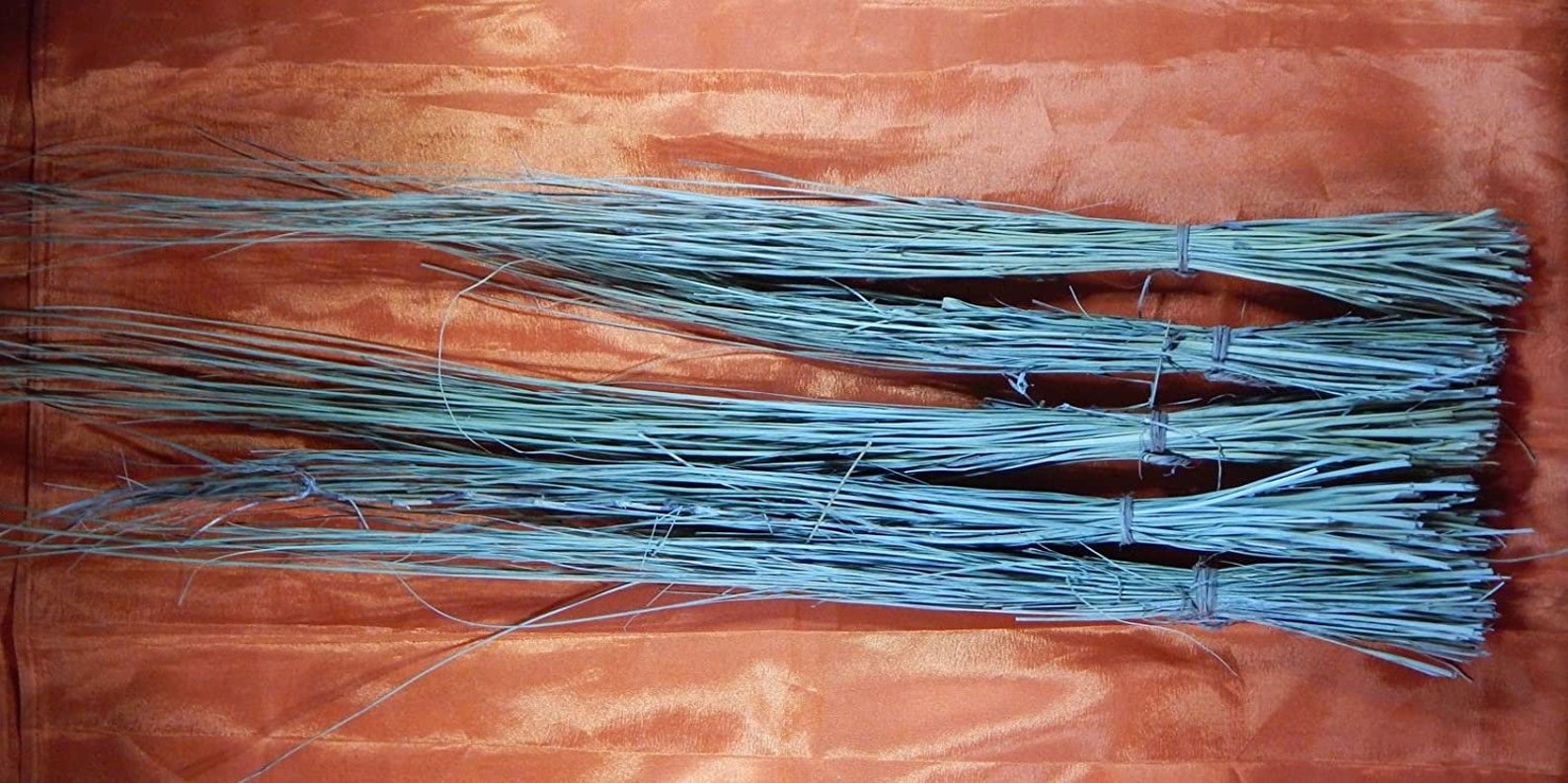 Kusha Grass Desmostachya Bipinnata Halfa Grass 5 Bundle Etsy India