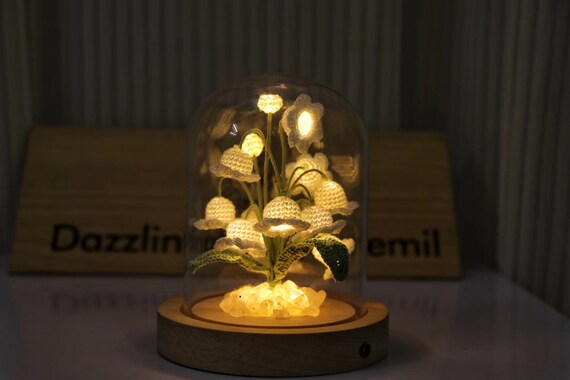 Lily light 2024