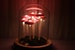 Original Diy Pink Mushroom Lights, Retro Mushroom Night Lights, Bedroom Decorations, Personalized Gifts、Small Mushrooms 