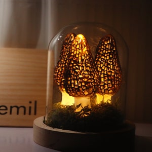 Wild Mushroom Lights, Glass Container Lights Night Lights Morel Mushroom Lights, Handmade Morel Lights, USB Gift Lights image 2