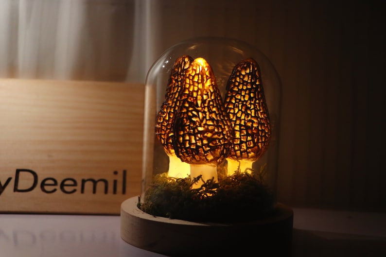 Wild Mushroom Lights, Glass Container Lights Night Lights Morel Mushroom Lights, Handmade Morel Lights, USB Gift Lights image 2