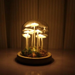 Handmade Mushroom Light/Glass Dome Night Light/Cute Retro Mushroom Night Light/Gift Light/Handmade Mushroom Light/Christmas Gift